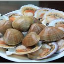 조개구이 이미지