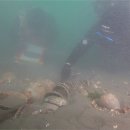 마도로 2 이미지