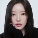커리어픽쳐스 네이버블로그