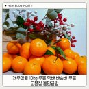 돌담농장 | 제주감귤 10kg 주문 택배 배송비 무료 고품질 돌담귤밭