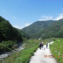 낙동정맥트레일(4코스-수구당 탐방길) 이미지