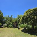 한국궁중꽃박물관 이미지