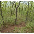 민재여울목산장 이미지