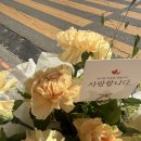 데이라잇꽃집 | 어버이날 카네이션/ 의정부 꽃집 / daylight / 꽃집 추천