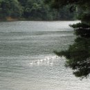 남안성IC주유소 이미지