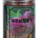 제주순수 이미지