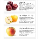 고씨네 농장 | [고씨네 사과농장]귀한 감홍사과 추천