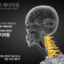 송파바른정형외과의원 이미지