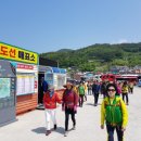 더숨 | 통영 가볼만한 여행지｜5월 황금연휴엔 만지도·연대도! 작약꽃+1박3식 섬여행 총정리