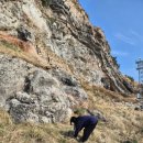 흑염소 한 닭 농장 이미지