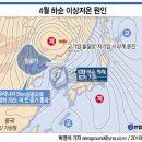 아열대로 바뀌는 한반도 -서울 낮 최고기온 103년만에 최저 이미지