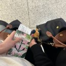 싱가포르 창이공항 기념품 및 쥬얼창이 분수 폭포 : 아시아나 비즈니스 / 이코노미 기내식 후기