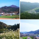 사포산촌생태마을 이미지