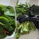 강인한농장 이미지