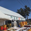 중사지농장 | [제주] 귤따기 체험 쉼터체험농장 | 천혜향 택배까지 솔직 후기