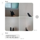 W10. 서울 신혼집 입주청소 &#34;청소잉&#34; 대만족 내돈내산후기