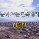 숲속 하얀 뜰 이미지