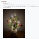 싸구려 | [고객후기/미니트리 60] 싸구려 같지 않고 진짜 전나무 같은 게 좋네요