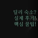 유창프라자 | 딜리 숙소 꿀팁 | 가성비부터 럭셔리까지 총정리 | 실제 투숙 후기 솔직 비교 | 완벽한 호텔 선택 가이드