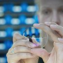 김안경 | 인천 근시억제안경 김안과처방 고도근시 작업 후기 | 스텔리스트 렌즈 가공 사례