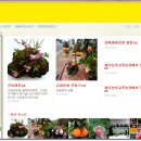 김영순농장 이미지