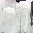 코데즈컴바인현대대구