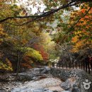 주왕산 탐방로 주차장 이미지