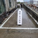 제주 동쪽 맛집 몽탄 제주 주말 워크인 웨이팅 주차 솔직후기