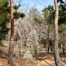 태극권&명상 | 봉은사 선명상축제 참여후기와 봉은사 둘레길 산책