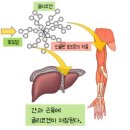 로그짐 서초우성점 | 강남pt] &#39;&#39;다이어트를 위한 아침 공복 운동 : 장점, 단점, 그리고 진실&#39;&#39; 로그짐 서초우성점에서 알아보자