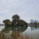 앞산공원 이미지