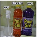 파인솔