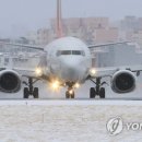 우현동물병원 이미지