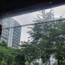 맨파워클린 이미지