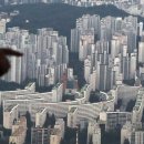 디벨로퍼더월드