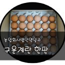 농업회사법인 영일(주)