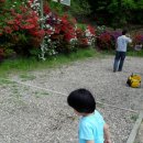 팜스퀘어약국 | [경기도] 여주 하늘타리캠핑장 -볼거리,놀거리 많은 곳 / 여주 당남리섬 / 봄 캠핑