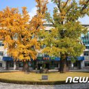 한국목재사업협동조합 이미지