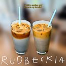 루드베키아 | 광화문 분좋카 브런치카페 RUDBECKIA 루드베키아 내돈내산 후기 | 종로 광화문역 밥커피 카공 노트북...