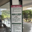 모루티 | 제주 서귀포 반려동물 동반 카페 모루티 방문 후기