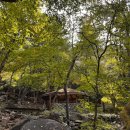 비로야영장 이미지