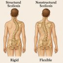(주)바른신경운동 이미지