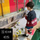 북일초등학교 | 청주 실내동물원 키즈카페 버드앤쥬 다양한 놀거리!
