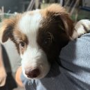 김해센텀가야셀프세차장 | 김해 장유 “카드결제” 가능한 원셀프세차장 손세차...청소기 등 전부 무료 사용가능! 솔직 후기 내돈내산