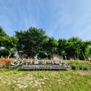 장미의거리13 이미지