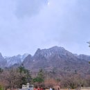 돈화 카 서비스센타 | 아기와 함께 떠난 강원도 여행기 (2-2) 설악산 케이블카&amp;대포항 팔팔회센타