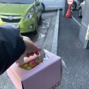 덕진-41 | 전주 케이크 맛집 찾는다면? [마이마이케이크] 덕진 본점 과일폭탄케이크 후기