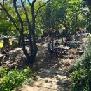 자작나무힐 | 향남 컨벤션더힐 더포레 야외웨딩 후기 (장단점·실제 견적 공개)