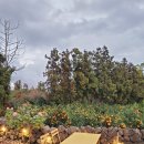 봄빛 코티지 이미지