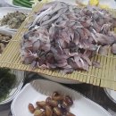 거성산오징어 이미지